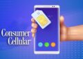 Consumer Cellular Sim Card Activation Guide (2024) - ISP Bird